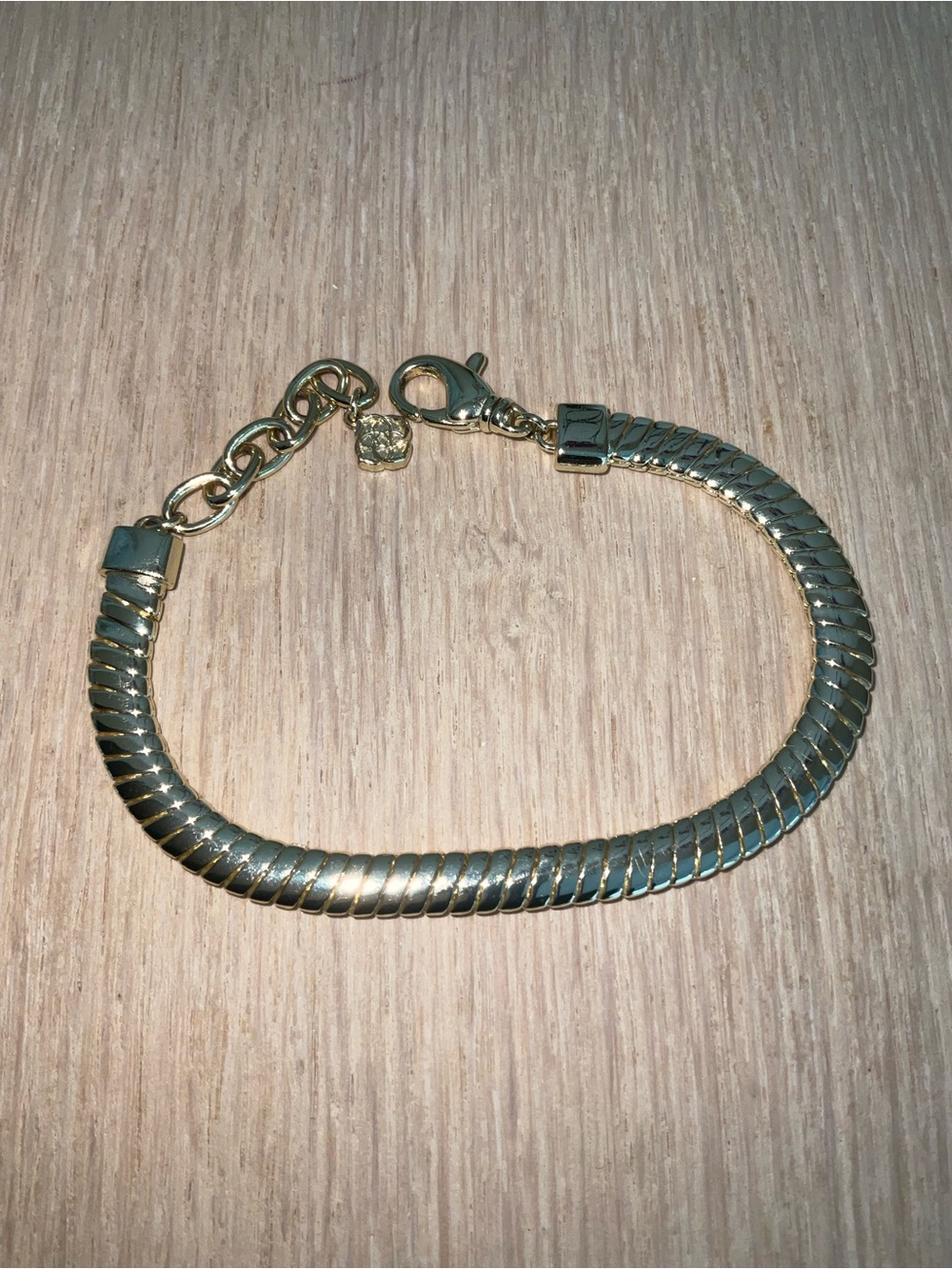 Kendra Scott Gold Lex Omega Chain Bracelet